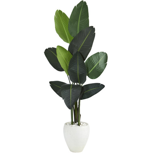 Primrue 63'' Faux Banana Leaf Tree in Fiber Clay Planter Wayfair